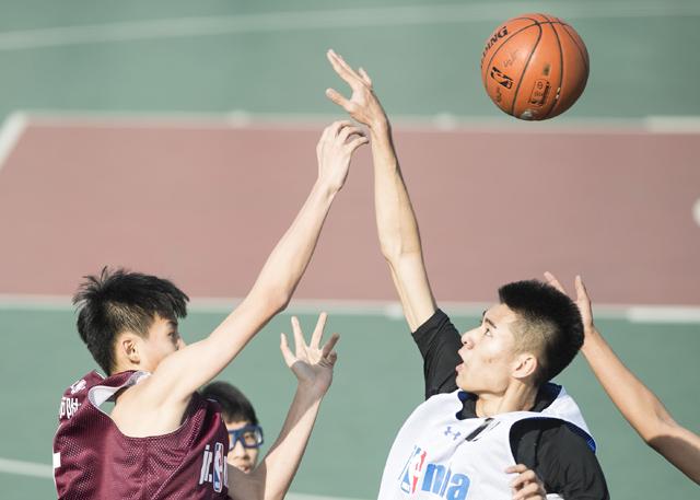 女生无遮挡